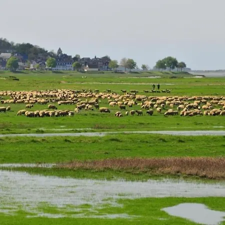 Maison Avec Jardin A Les Bains *